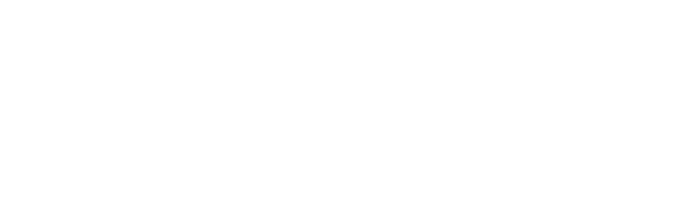Mendoza Academy